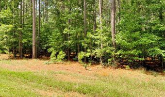 Lot 58 Lighthouse Pointe, Lincolnton, GA 30817