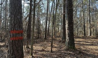 1106 LONGLEAF Way, Lincolnton, GA 30817