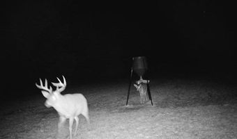 Hwy 131, Baker Hill, AL 36027