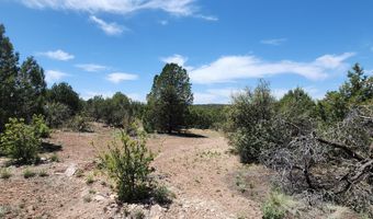 Lot 13 Ranch And Cattle, Ash Fork, AZ 86320