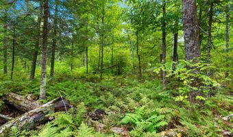 Double Bend Road, Argonne, WI 54511