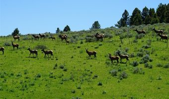 Timberloft, Big Sky, MT 59716