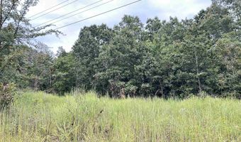 Martin Street lot 3 4 5, Ash Flat, AR 72513