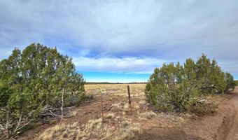 32 34 Co Rd N8172, Concho, AZ 85924