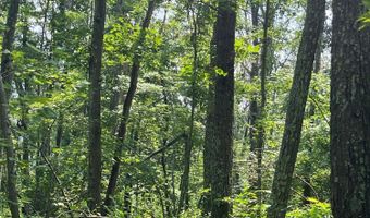 Cascade Mountain Road, Amenia, NY 12501