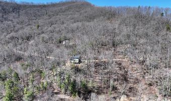 11 Taryn Trce 16, Barnardsville, NC 28709
