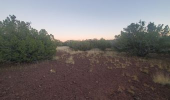 1 COUNTY ROAD N8155, Concho, AZ 85924