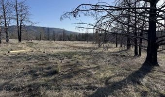 31763 Godowa Springs Rd, Beatty, OR 97621