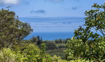 57 Awalau Rd Lot A, Haiku, HI 96708