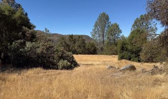 41902 Woodward Way, Ahwahnee, CA 93601