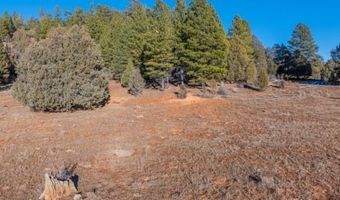 HWY 89-Long Valley, Alton, UT 84710