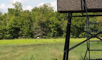 225 CR 3303, De Kalb, TX 75559