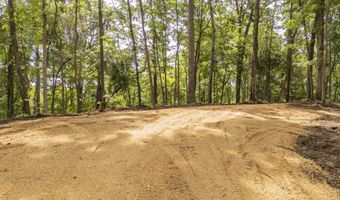 NELLS KNOB Cv, Bath Springs, TN 38311