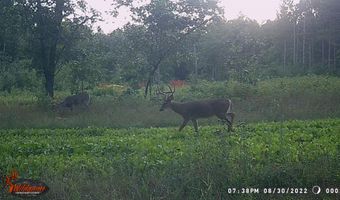 8752 HWY A, Almond, WI 54909