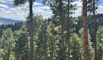 Lot 91ab Pam Coleman Drive, Angel Fire, NM 87710