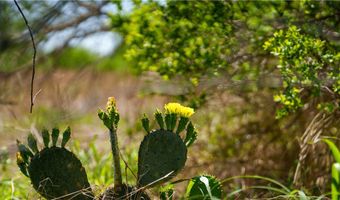 Fm-735, Alice, TX 78332