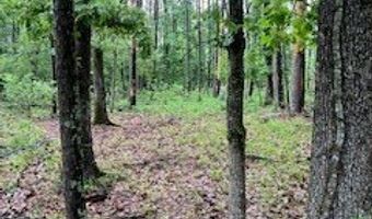 450 Apple Trl, Bogue Chitto, MS 39629