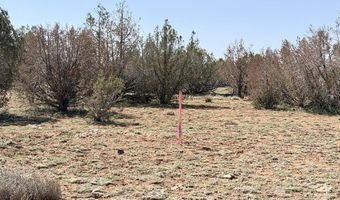 W26 Prairie Dog Road, Ash Fork, AZ 86320