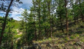 0 CROW VALLEY Rd, Bailey, CO 80421