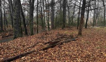67 Old Wire Rd, Atkins, AR 72823