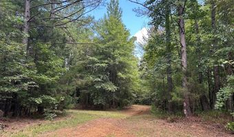Pleasant Hill Road, Ashland, MS 38603