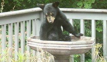 229 Pine Valley Dr, Bassett, VA 24055