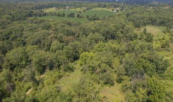 15816 Sanford, Addison, MI 49220