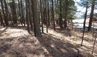 8 B County Road 2267 Escudilla Rd, Alpine, AZ 85920