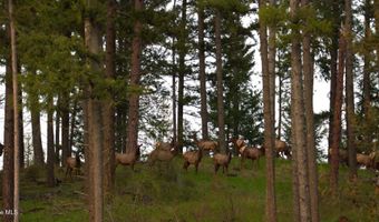 2447 Turner Hill Rd, Bonners Ferry, ID 83805