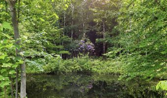 224 King Rd, Alexandria, NH 03222