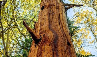 0 Snow Cap Peaks Rd, Alma, CO 80402