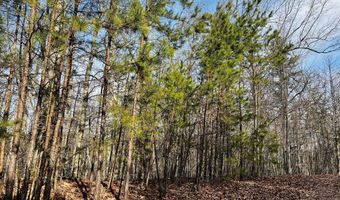 Planters Pointe Drive lot 6, Baldwin, GA 30511