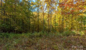 99999 Harwood Rd, Barnardsville, NC 28709