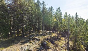 266 Eagle Bend Dr, Bigfork, MT 59911