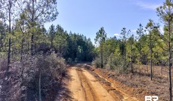 Jones Lane, Bay Minette, AL 36507