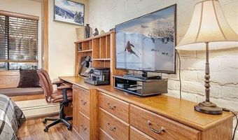 313 VINE St 313, Aspen, CO 81611