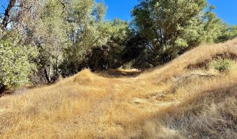 41902 Woodward Way, Ahwahnee, CA 93601