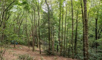 2 9 AC Chestnut Flats Rd, Andrews, NC 28901