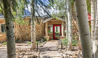 160 Spring Creek Rd, Basalt, CO 81621
