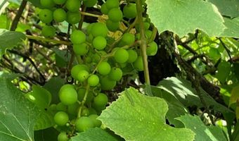 679 New Hope Church Rd, Barbourville, KY 40906