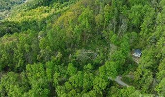 Jacks Knob Road 49, Barnardsville, NC 28709