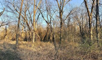 0002 CR-290, Asbury, MO 64832