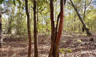 Eugene Ward Road, Adrian, GA 31002