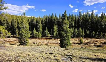 PCS # 7765 & 12057 Rollies Trail lot 0, Alma, CO 80420