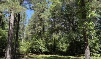 county road 222, Abbeville, AL 36310