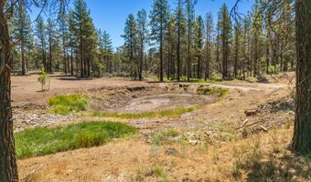 8334 Mina Bird Dr, Bonanza, OR 97623