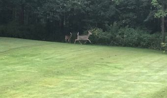 43 Deer Meadow Ln, Woodstock, CT 06281