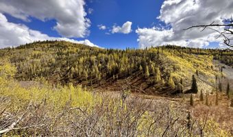 B005 Packsaddle Road, Chickaloon, AK 99674