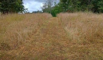 46 Private Road 160-190, Alton, MO 65606