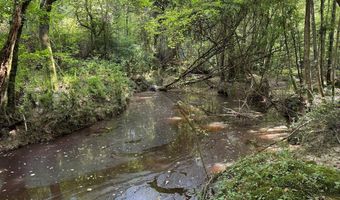 1365 Mickle Smith Trl, Bogue Chitto, MS 39629